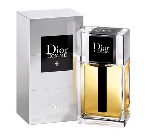 christian dior parfums pour homme|christian Dior Homme original.